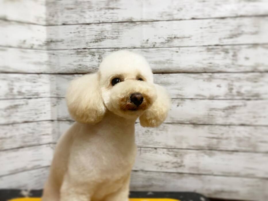 画像1003