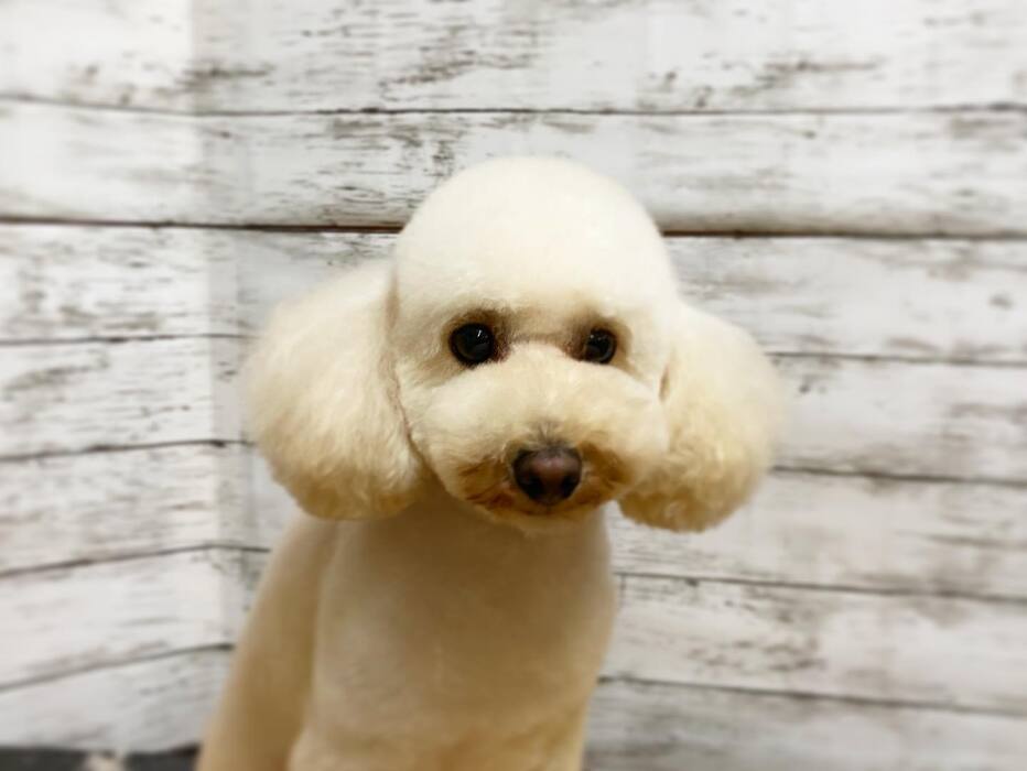 画像1004
