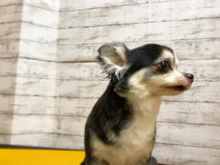画像1024