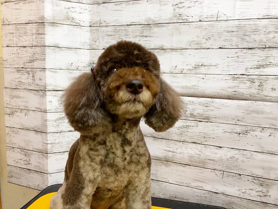 画像1219