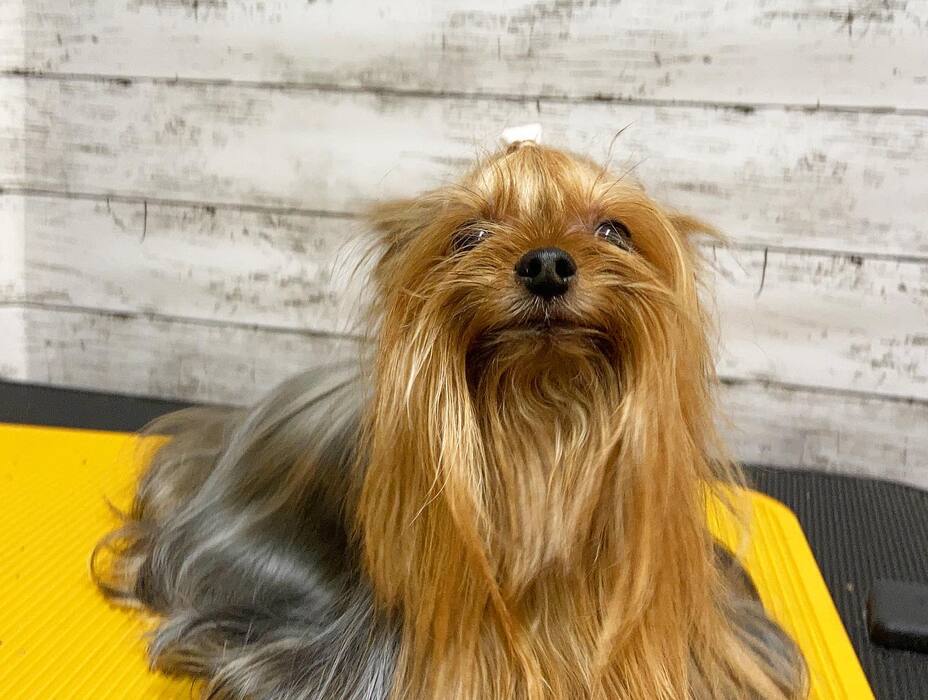 画像1322