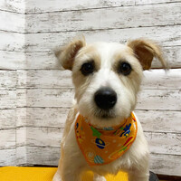 画像1343