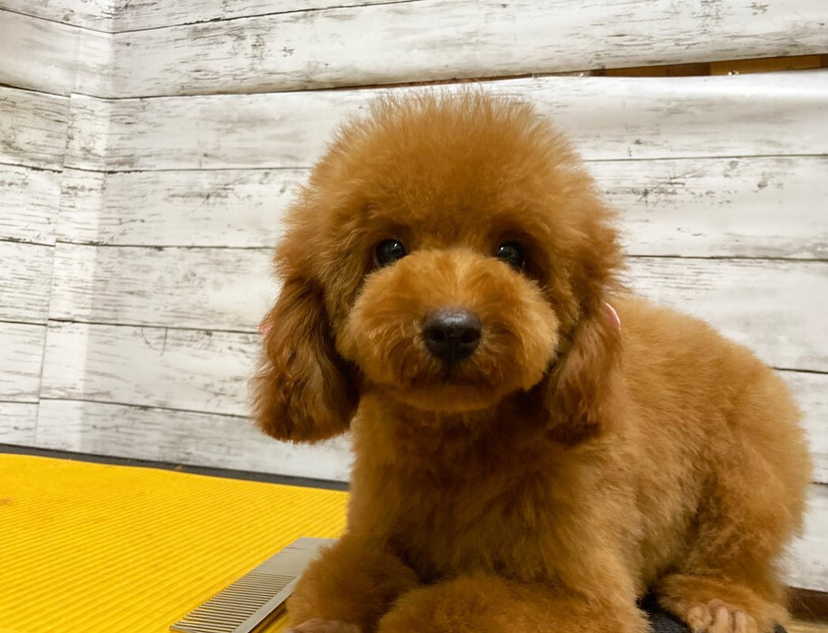 画像1693