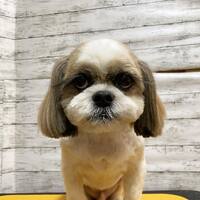 画像1744