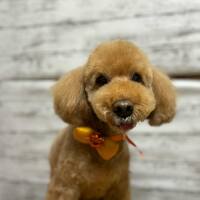 画像2035