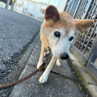 画像2319