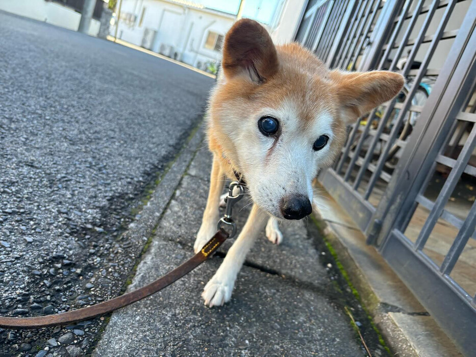 画像2319
