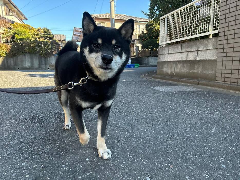 画像2386