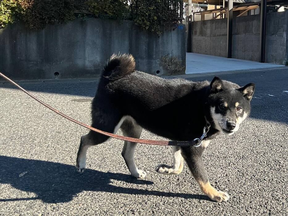 画像2387