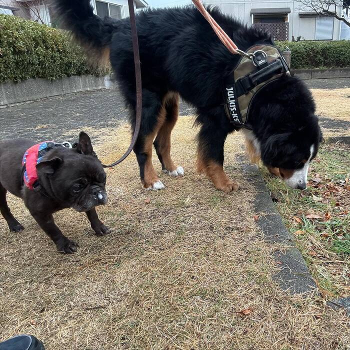画像2422