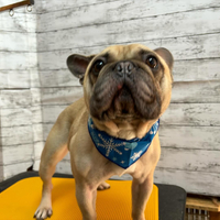 画像2459