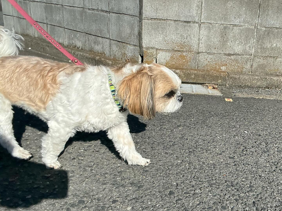 画像2475