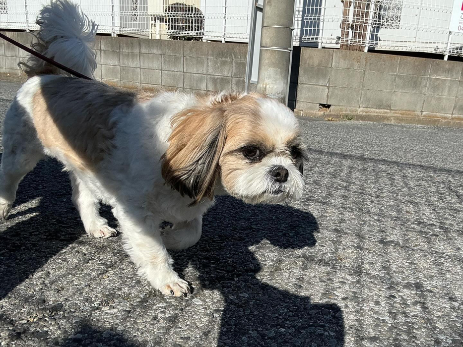 画像2476