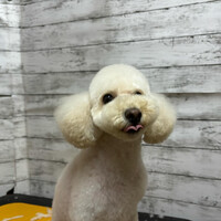 画像2480