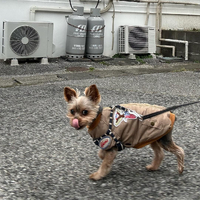 画像2555