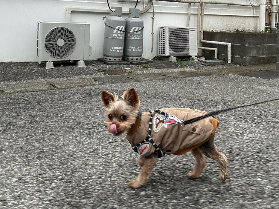 画像2555