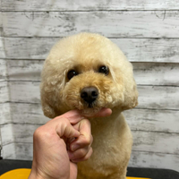 画像2566