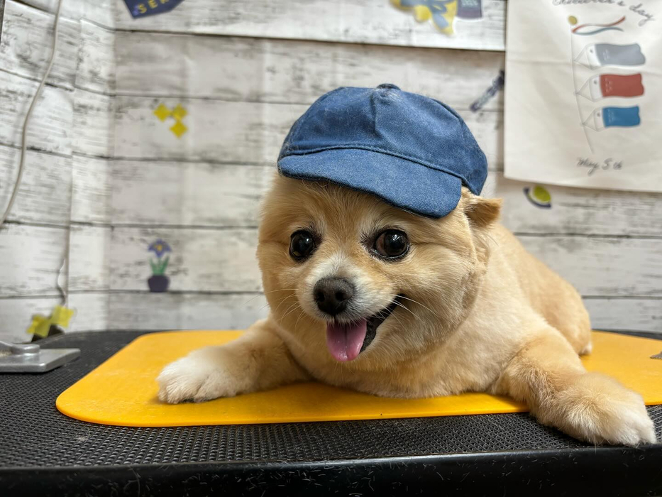 画像2625
