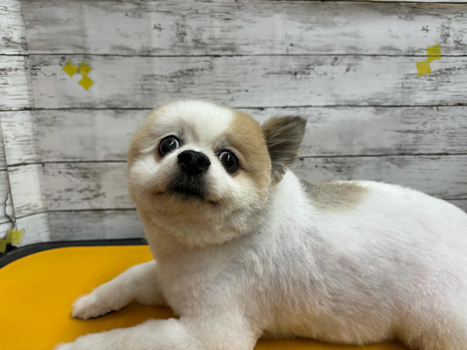 画像2718