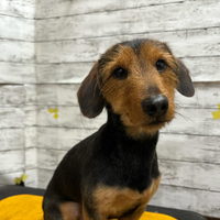 画像2729