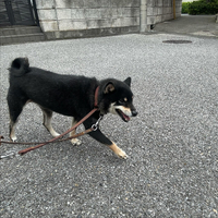 画像2847
