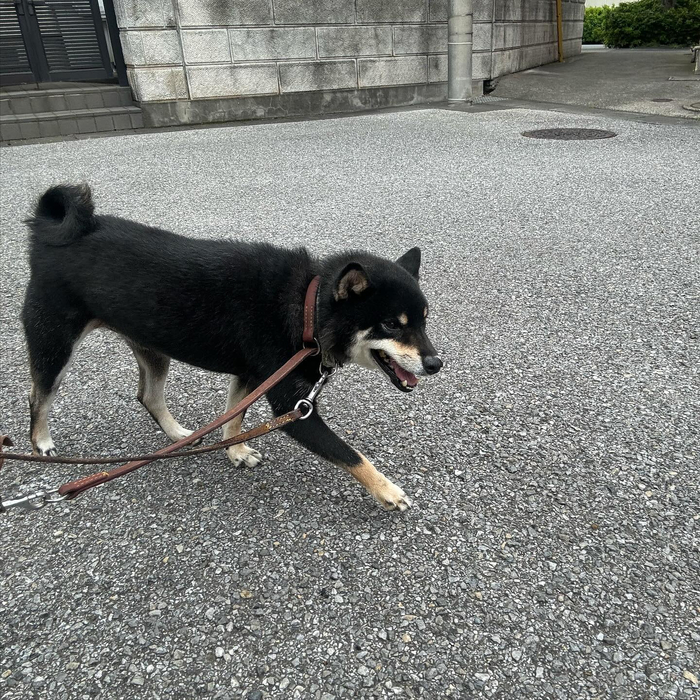 画像2847