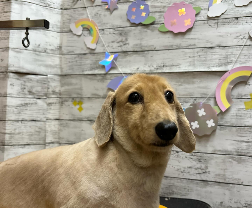 画像2851