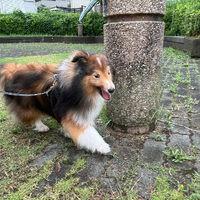 画像2971