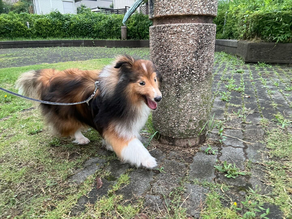 画像2971