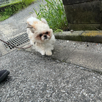 画像3062
