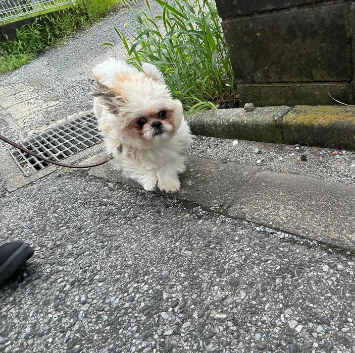 画像3062