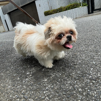 画像3063