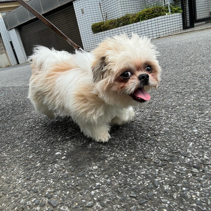 画像3063