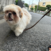 画像3067