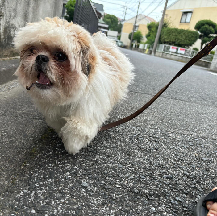 画像3067