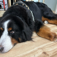 画像3089
