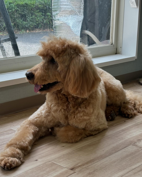 画像3175