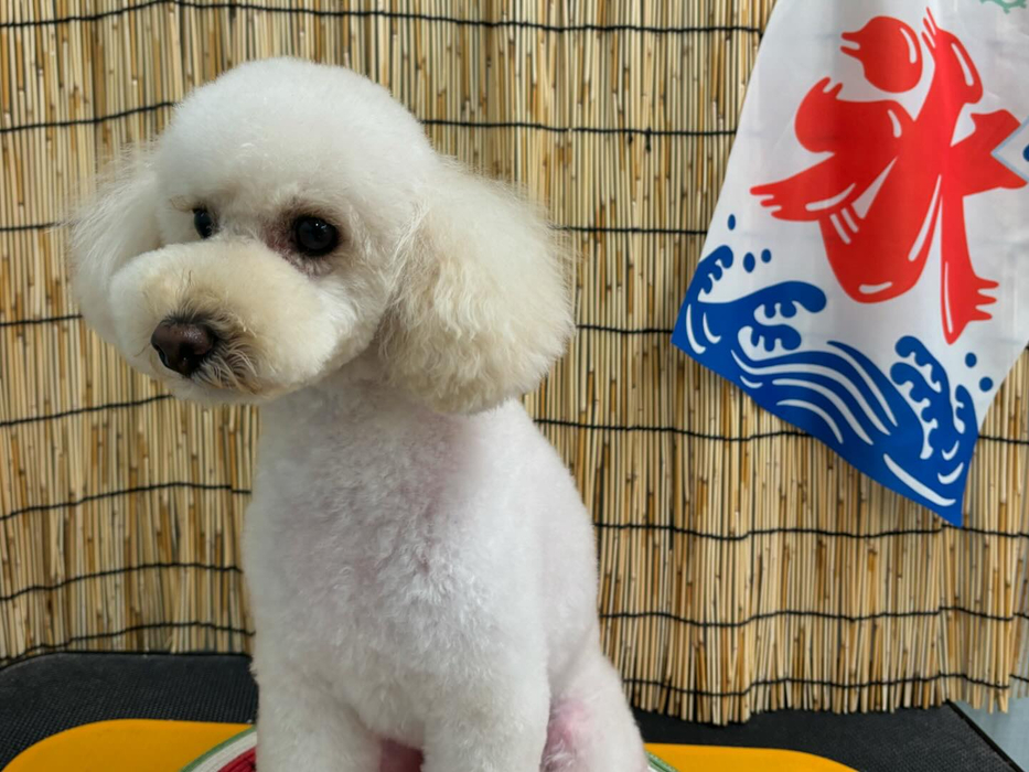 画像3318