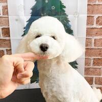 画像333