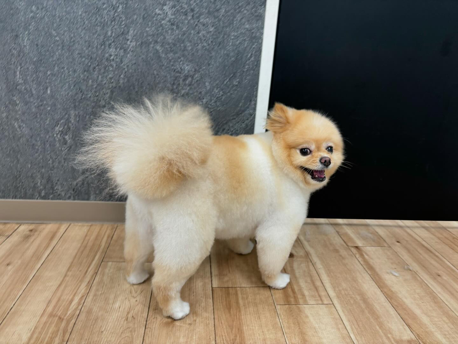 画像3500