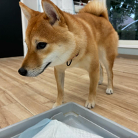 画像3523