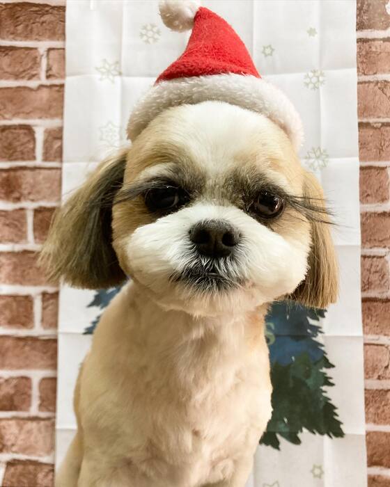 画像362