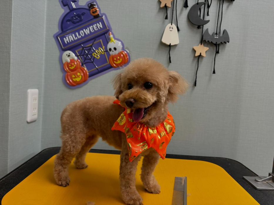 画像3685