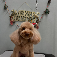 画像3806