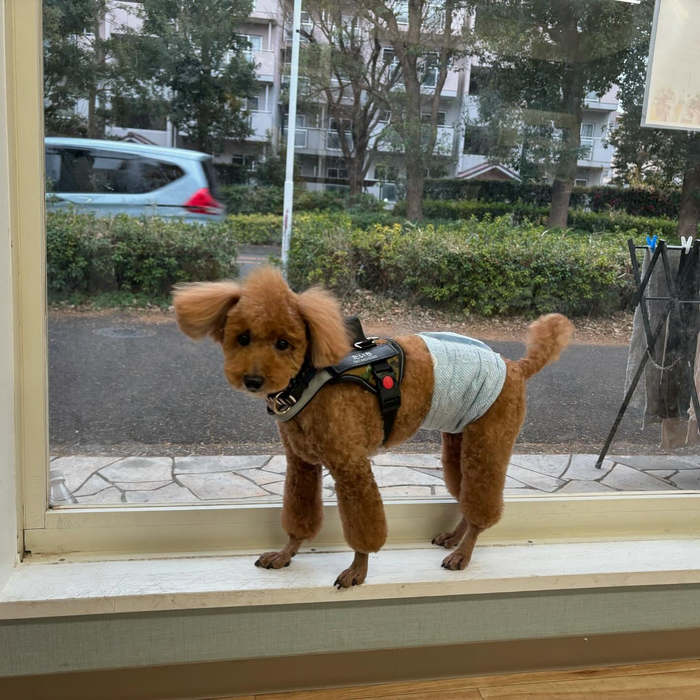画像4120