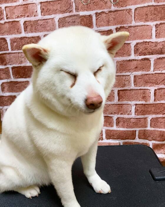 画像494