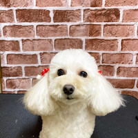 画像504