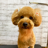 画像546