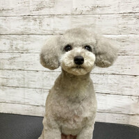 画像651