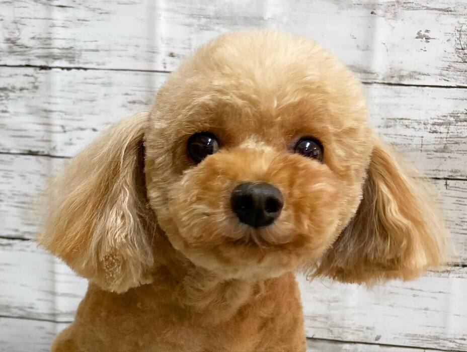 画像734